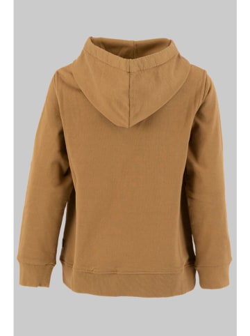 G-Star Hoodie in Hellbraun