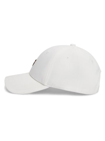 Tommy Hilfiger Pet  wit
