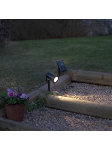STAR Trading Lampa solarna LED "Powerspot" w kolorze czarnym - 13,5 cm - Ø 0,00