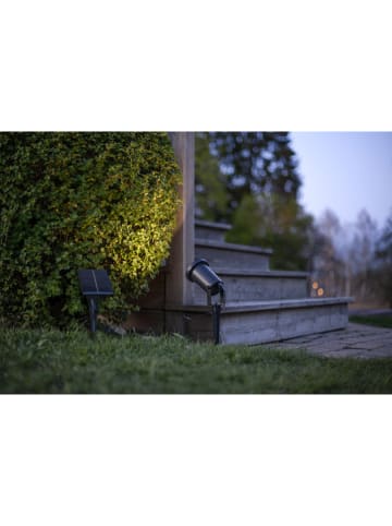 STAR Trading Lampa solarna LED "Powerspot" w kolorze czarnym - 13,5 cm - Ø 0,00