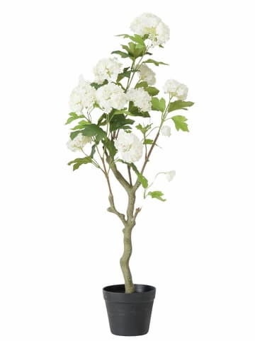 Boltze Kunstplant "Hortensie" groen/wit - (H)90 cm