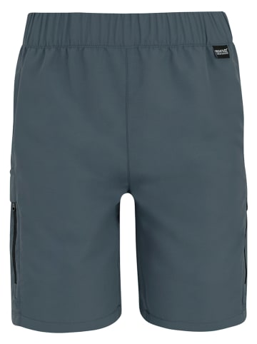 Regatta Trainingsshorts "Sorcer III" in Grau