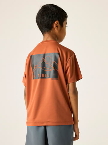 Regatta Funktionsshirt "Alvarado" in Orange