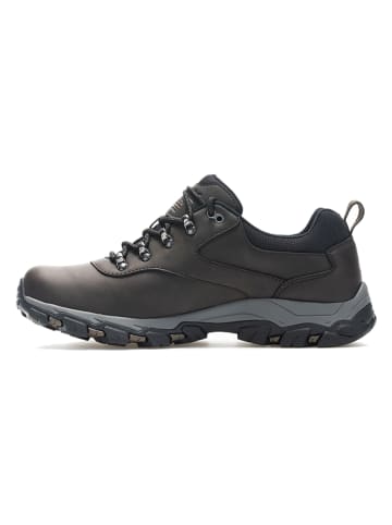Regatta Wandelschoenen ''Holcombe'' bruin