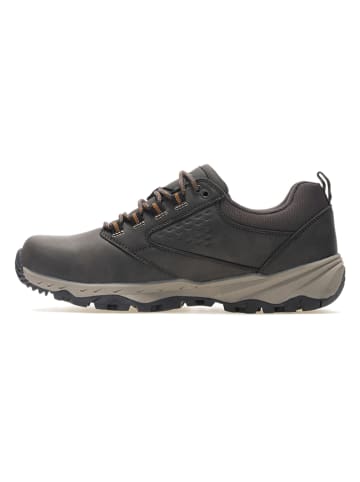 Regatta Wanderschuhe "Amble" in Braun