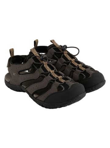 Regatta Halbsandalen "Westshore IV" in Braun
