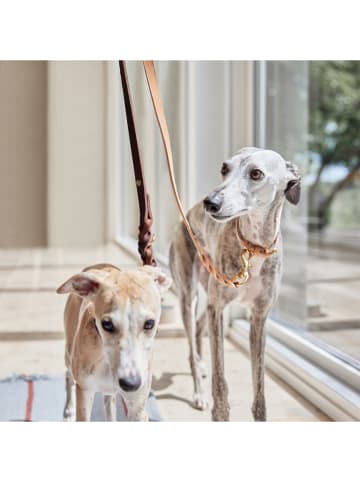 OYOY living design Leder-Hundehalsband "Robin" in Hellbraun - (L)46 cm