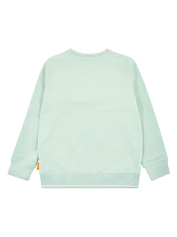 Steiff Sweatshirt in Grün