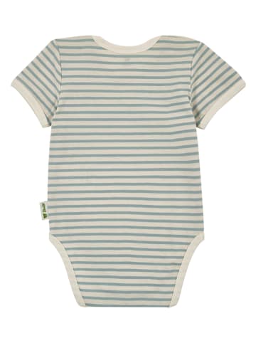 Steiff Body in Beige/ Hellblau
