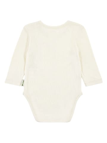 Steiff Body in Creme