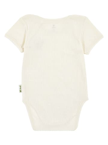 Steiff Body in Creme