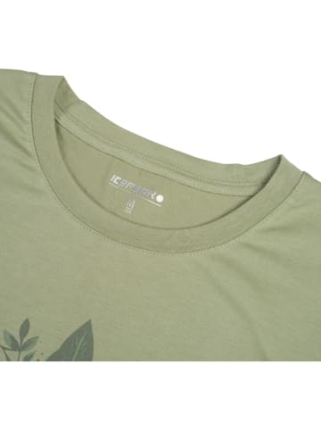 Icepeak Funktionsshirt "Meigs" in Grün