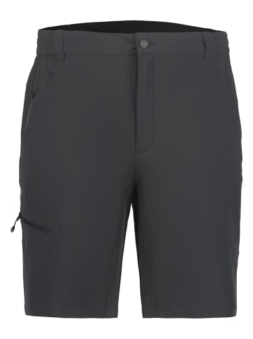 Icepeak Szorty funkcyjne "Berwyn" w kolorze antracytowym