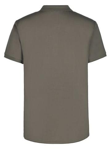 Icepeak Funktionspoloshirt "Bellmont" in Beige/ Grün