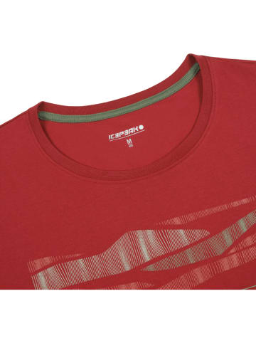 Icepeak Funktionsshirt "Beeville" in Rot