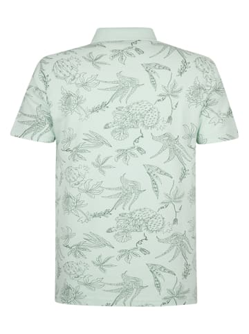 Petrol Industries Poloshirt in Grün