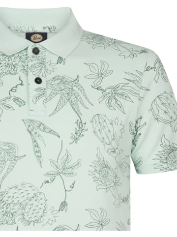 Petrol Industries Poloshirt in Grün