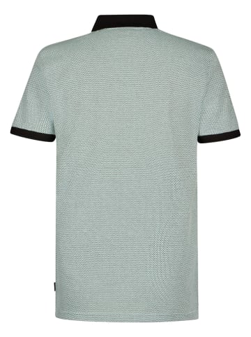 Petrol Industries Poloshirt in Grün