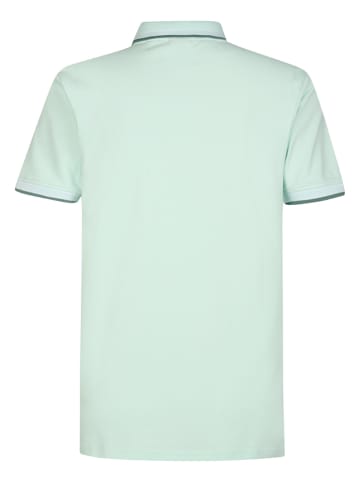 Petrol Industries Poloshirt in Grün