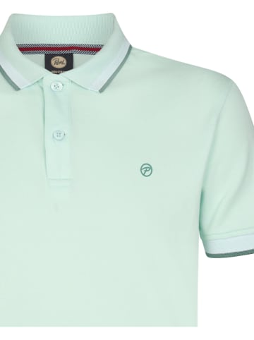 Petrol Industries Poloshirt in Grün