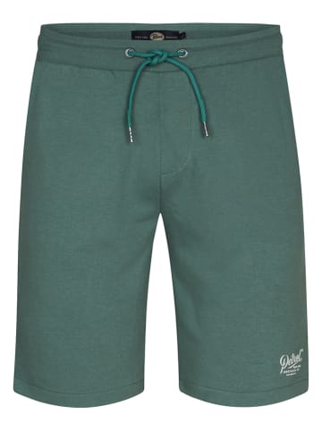 Petrol Industries Sweatshorts in Grün