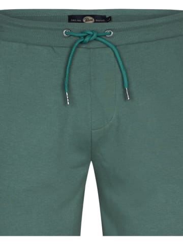 Petrol Industries Sweatshort groen