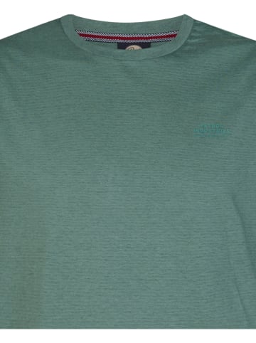 Petrol Industries Shirt in Grün