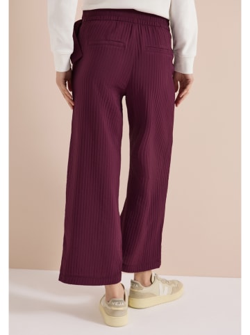 Cecil Hose in Bordeaux