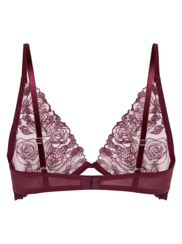Hunkemöller Beugelbeha "Hollie" bordeaux