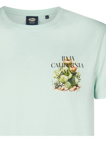 Petrol Industries Shirt groen