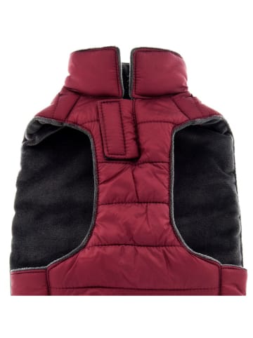 Petisimmo Hundejacke in Bordeaux