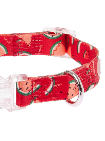 Petisimmo Hondenhalsband rood