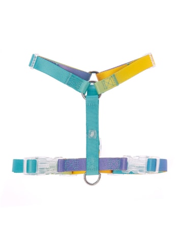 Petisimmo Hondentuig geel/turquoise