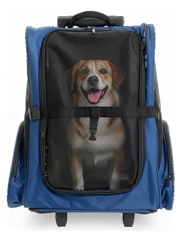Petisimmo Transportrucksack in Blau - (B)35 x (H)49 x (T)27 cm