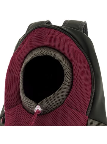 Petisimmo Transportrucksack in Lila/ Schwarz - (B)40 x (H)43 x (T)17,5 cm