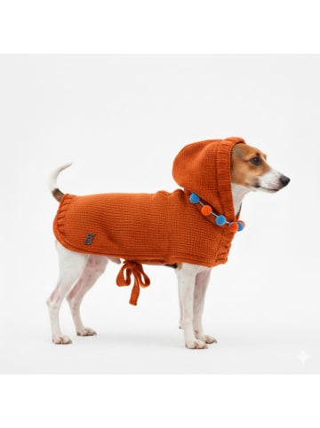 Petisimmo Hundepullover in Orange