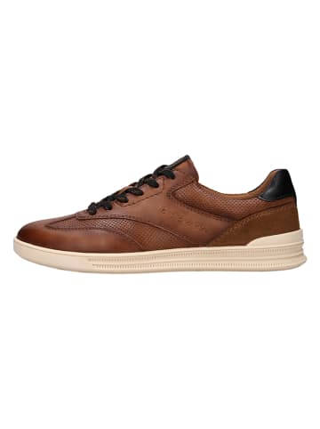 Bugatti Sneakers "Catch" in Hellbraun