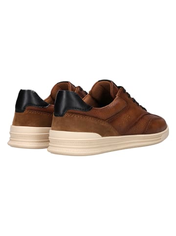 Bugatti Leren sneakers "Catch" lichtbruin