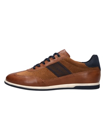 Bugatti Sneakers "Titon" in Hellbraun