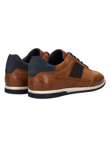 Bugatti Sneakers "Titon" in Hellbraun