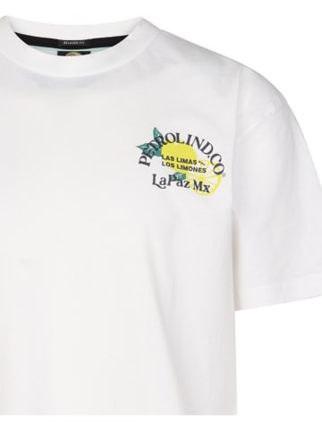 Petrol Industries Shirt in Weiß