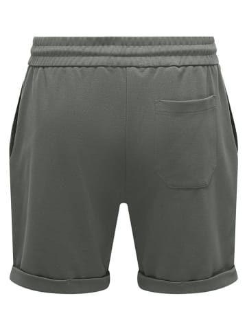 ONLY & SONS Shorts "Onsnewkodyl" in Grün