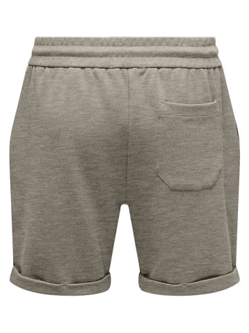 ONLY & SONS Shorts "Onsnewkodyl" in Beige