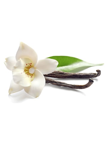 Schöner Wohnen Kollektion Duftkerze "Vanilla" in Orange - 222 g