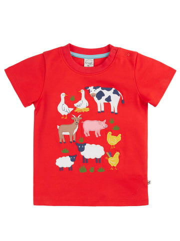 Frugi Koszulka w kolorze czerwonym