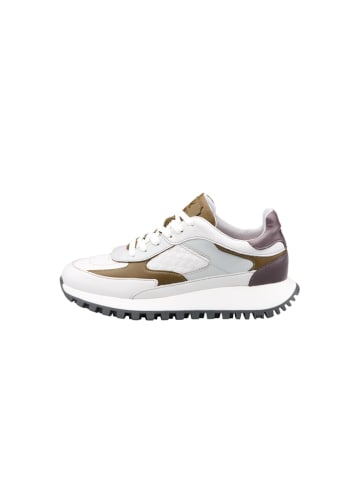 LLOYD Skórzane sneakersy w kolorze biało-fioletowo-jasnobrązowym