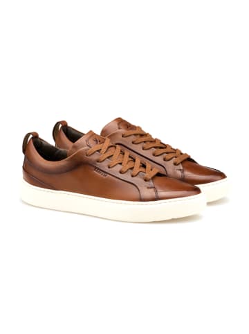 LLOYD Leren sneakers lichtbruin