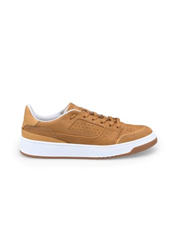LLOYD Leren sneakers lichtbruin