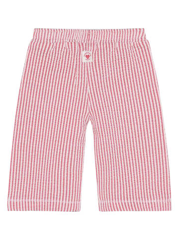 Noppies Broek rood/wit