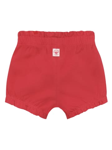 Noppies Shorts in Rot